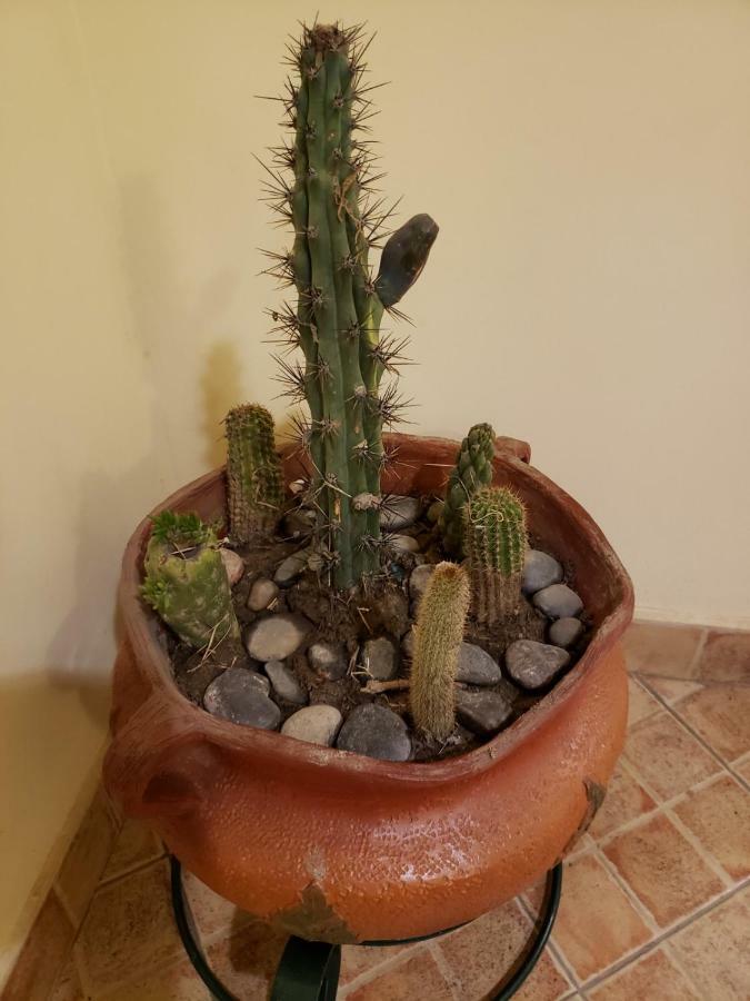 Casa Cactus Cafayate Hotel Екстериор снимка